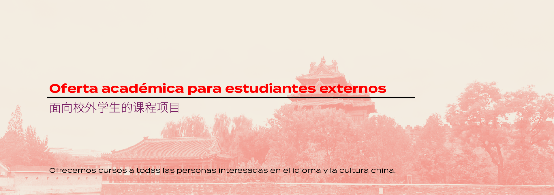 Banners_ImagenWeb_sin movimiento_Ext.png